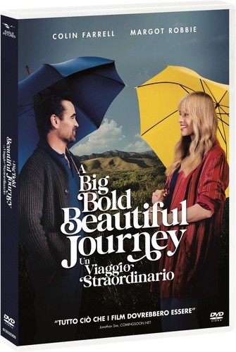 Dvd big bold - dvd,